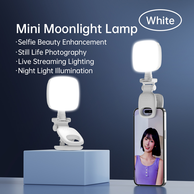 Photography Lighting Product - ポータブルLEDセルフィーライトカメラミニフィルライト充電式スマホナイトライトUSBクランプランプ、ノートパソコン、タブレット、TikTokビデオ用